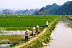 Thừa kế đất nông nghiệp
