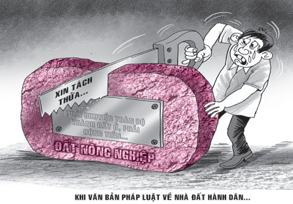 Tr&igrave;nh tự, thủ tục t&aacute;ch thửa đất