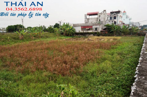 Thủ tục t&aacute;ch thửa v&agrave; chuyển đổi mục đ&iacute;ch sử dụng đất